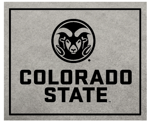 Colorado State Ice Grey Suede Patch