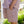 Lake Sunset Camp Shorts