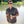Explorer Camp Shirt