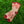 I Spy Yeti Quarter Sock